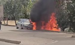 Park Halindeki Araç Alev Topuna Döndü