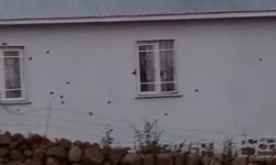 Bingöl’de 2 Eve Uzun Namlulu Silahlarla Saldırı
