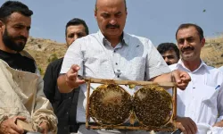 Batman’da Arıcılık Sezonunun İlk Bal Sağımı Gerçekleşti