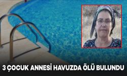 Üç Çocuk Annesi Kadın Bahçedeki Havuzda Ölü Bulundu