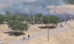 Bingöl'de kırsal alanda yangın paniği