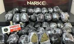 Durdurulan Araçta 22 Kilo Skunk Yakalandı: 4 Tutuklama