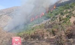 Malatya Doğanyol’da Orman Yangını