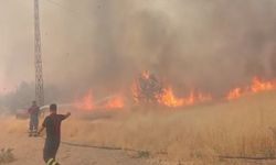 Şırnak’ta Orman Yangınına Havadan ve Karadan Müdahale