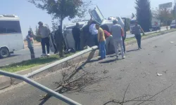 Kontrolden Çıkan Kamyonet Devrildi: Sürücü Yaralandı