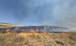 Van’da yüzlerce dönüm arazi kül oldu