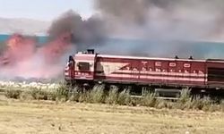 Van'da Göl'ün Sazlıklarında Korkutan Yangın