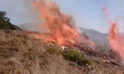 Bitki Örtüsü Yangını Korkuttu