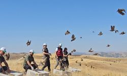 Tunceli’de Doğaya 200 Kınalı Keklik Bırakıldı