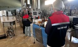 254 Gıda İşletmesi Denetlendi