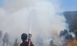 Kırsal alandan çıkan yangın kontrol altına alındı