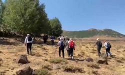 Bitlis'te Doğaseverlerden Kırkor Dağı Yürüyüşü
