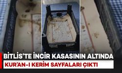 Bitlis'te incir kasasının altında Kur'an-ı Kerim müshafları çıktı