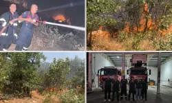 İtfaiyesi Lice’deki Orman Yangınına Müdahale Etti