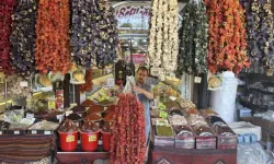 Kurutmalık Mevsimi Başladı: Fiyatları Ne Durumda?