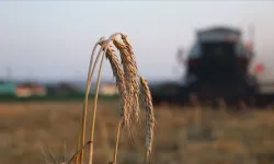 Çiftçilere Büyük Teşvik: Köye Dönene Arazi ve Konut Desteği