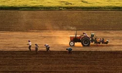 Tarımda Gençlere Yönelik Yeni Teşvikler Yolda