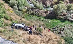 Bitlis'te otomobil şarampole devrildi: Biri ağır, 2 yaralı