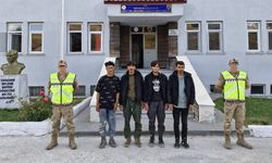 Bitlis’te 4 düzensiz göçmen yakalandı: Bir tutuklama
