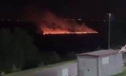 Hevsel Bahçeleri'nde yangın paniği