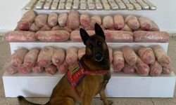 Van’da jandarmadan uyuşturucu operasyonu: 67 kilo madde ele geçirildi