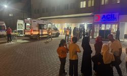 Fıstık İşçilerini Taşıyan Minibüs Kaza Yaptı: 7 Yaralı
