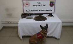 Muş’ta tezek yığınının altından silah ve mühimmat çıktı