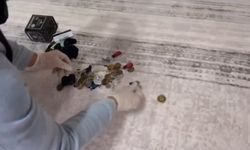 Sahte Dolar ve Tarihi Eser Operasyonu: 1 Tutuklama