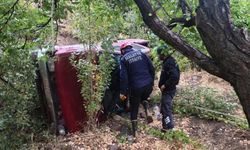 Virajı alamayan pikap şarampole uçtu: 2 yaralı