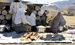 Bitlis’in Altın Balında Hasat Sezonu Başladı