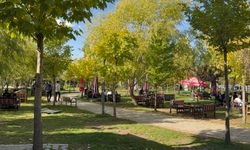 Güneşi gören Tatvanlılar sahile akın etti