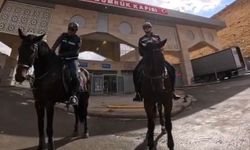 Van'da Atlı Jandarma Timleri Kapıköy Sınırında Görev Başında