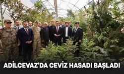 Adilcevaz'da Ceviz Hasadı Başladı