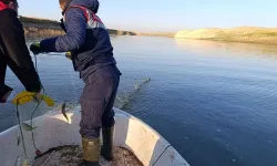 Kaçak balık avcılığına geçit yok: 10 bin metre yasak ağ imha edildi