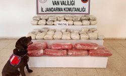 Van'da 61,9 Kilo Skunk Ele Geçirildi