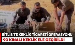 Bitlis’te kaçak keklik ticaretine geçit yok: 90 kınalı keklik ele geçirildi