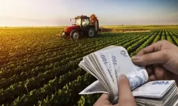Çiftçilere 320,6 Milyon Liralık Destekleme Ödemesi Başladı