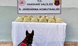 Hakkari’de 15 kilo toz esrar ele geçirildi