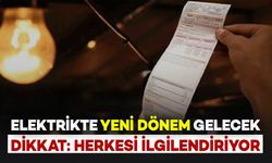 Elektrikte Yeni Dönem Gelecek: Yüksek Tüketen..