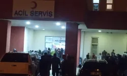 Eşeğin Yularına Takılan 6 Yaşındaki Çocuk Hayatını Kaybetti