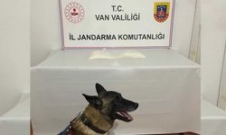 Van'da 2 Kilo Metamfetamin Ele Geçirildi
