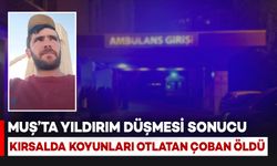 Muş’ta Yıldırım Düşmesi Sonucu Çoban Hayatını Kaybetti