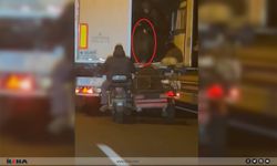 Seyir Halindeki Tırdan Hayvan Çaldılar, Kaza Yapınca Yakalandılar