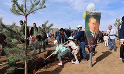 Bitlis’te 11 Kasım Milli Ağaçlandırma Günü'nde 2 bin 500 fidan dikildi