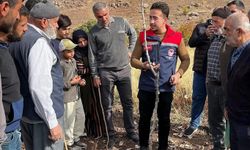 Siirt’te üreticilere fıstıkta doğru budama eğitimi