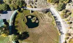 Yüzen Adalar’da Sonbaharın Renk Cümbüşü