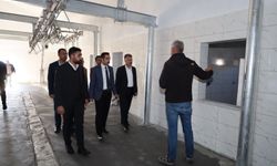 Güroymak’ta Hayvan Pazarı ve Mezbahane Projesi Devam Ediyor