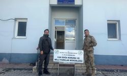 Van’da Kafes Avcısına 29 Bin Lira Ceza
