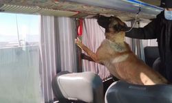 Otobüs bagajındaki yangın tüplerinden 8 kilo skunk çıktı