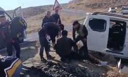 Van'da Kamyonet Şarampole Yuvarlandı: 4 Yaralı